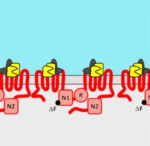 Junction Assembly